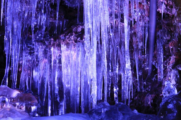 『富士山五合目・河口湖・鳴沢氷穴・青木ヶ原樹海・山中湖 雲上から地下洞窟まで!世界遺産富士山ぐるっと周遊 2日間』【四日市・桑名出発】2
